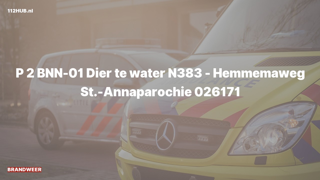 Deelafbeelding voor De brandweer is met gepaste spoed uitgerukt voor een persoon te water naar de Hemmemaweg in St.-Annaparochie