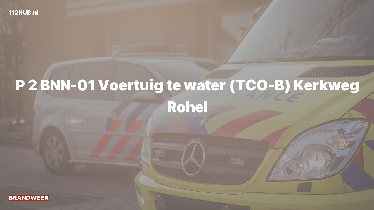Deelafbeelding voor De brandweer is met gepaste spoed uitgerukt voor een persoon te water naar de Kerkweg in Rohel