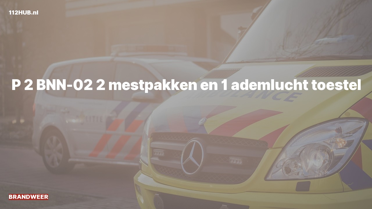 Deelafbeelding voor Brandweer met gepaste spoed.