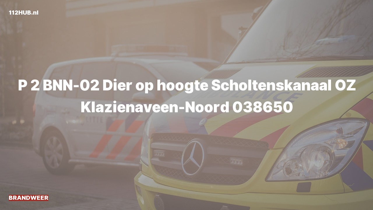 Deelafbeelding voor De brandweer is met gepaste spoed uitgerukt naar de Scholtenskanaal OZ in Klazienaveen-Noord