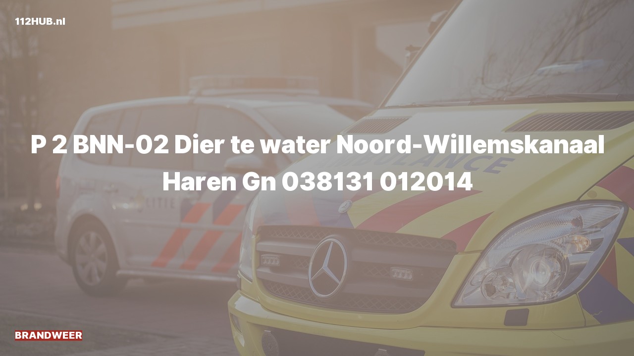 Deelafbeelding voor Brandweer met gepaste spoed.