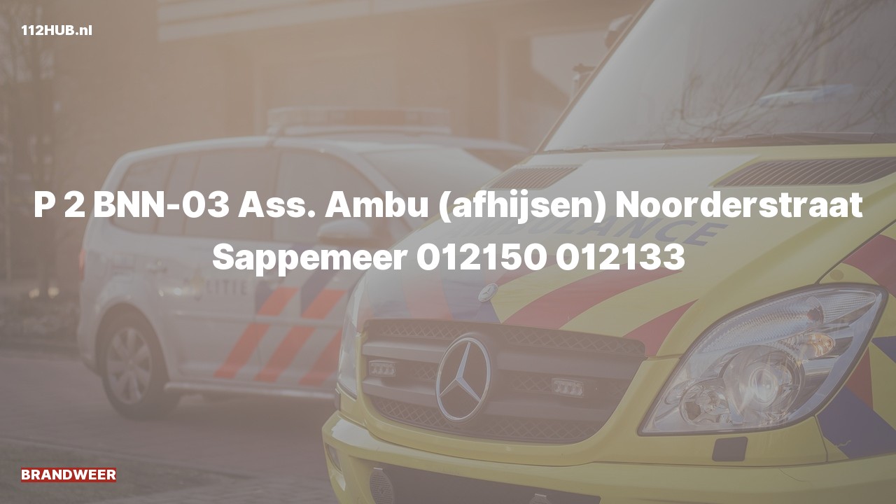 Deelafbeelding voor P2000-melding voor afhijsen.
