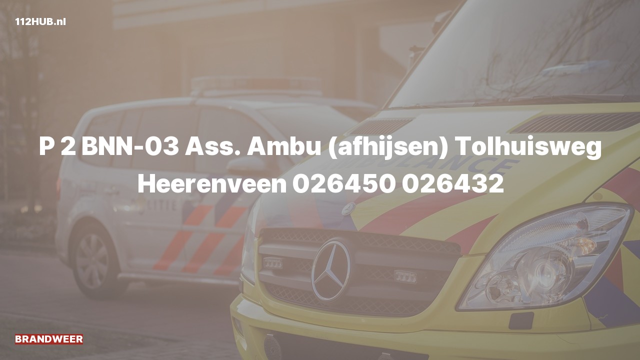 Deelafbeelding voor Brandweer met gepaste spoed voor afhijsen naar de Tolhuisweg in Heerenveen.