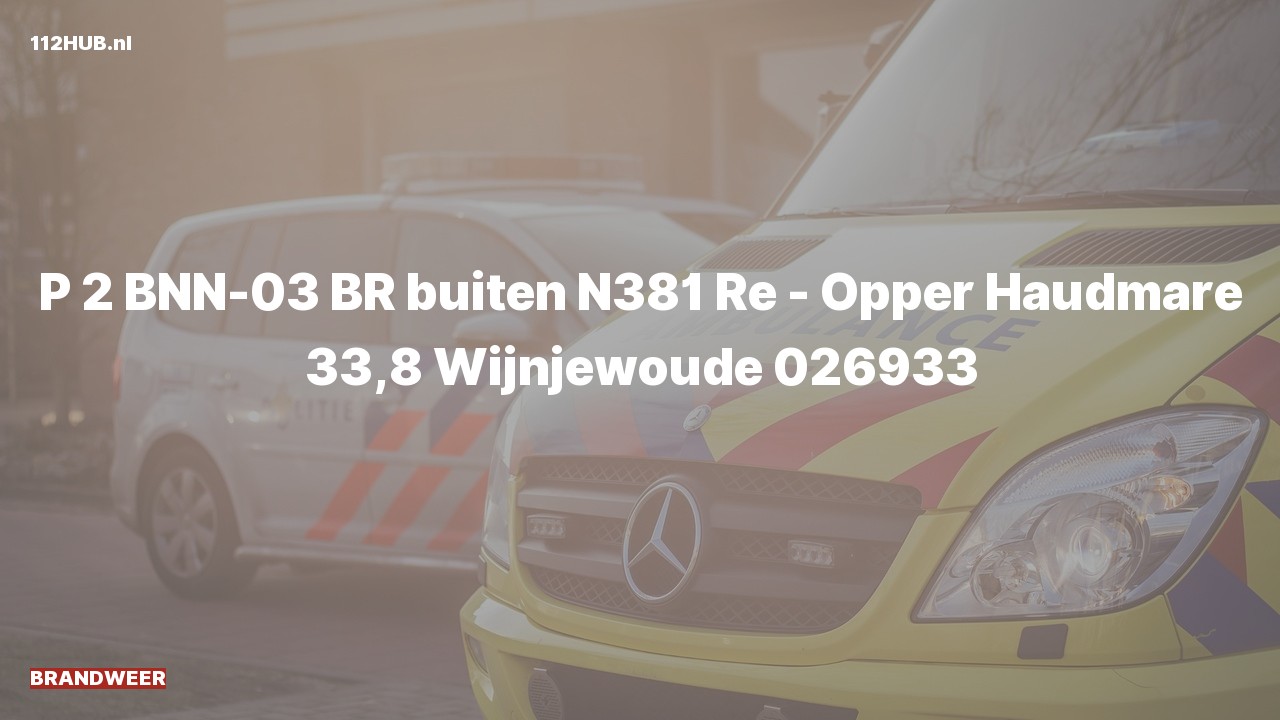 Deelafbeelding voor De brandweer is met gepaste spoed uitgerukt voor een brand op de N381 bij hectometerpaaltje 33.8