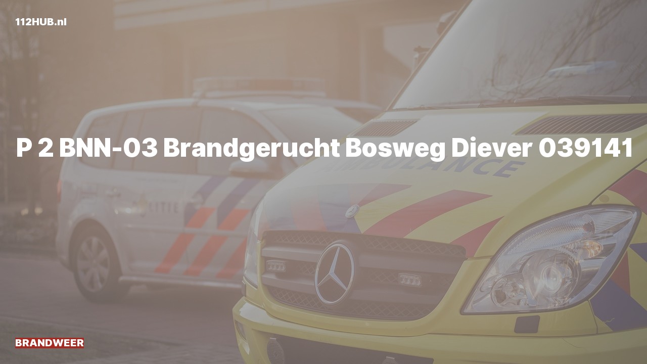 Deelafbeelding voor Brandweer met gepaste spoed voor brandgerucht naar de Bosweg in Diever.