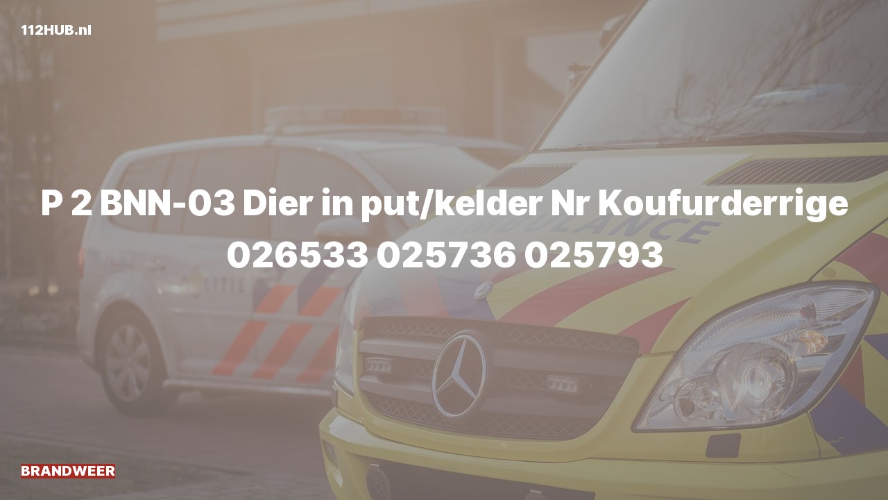 Deelafbeelding voor Brandweer met gepaste spoed naar de Nr in Koufurderrige.