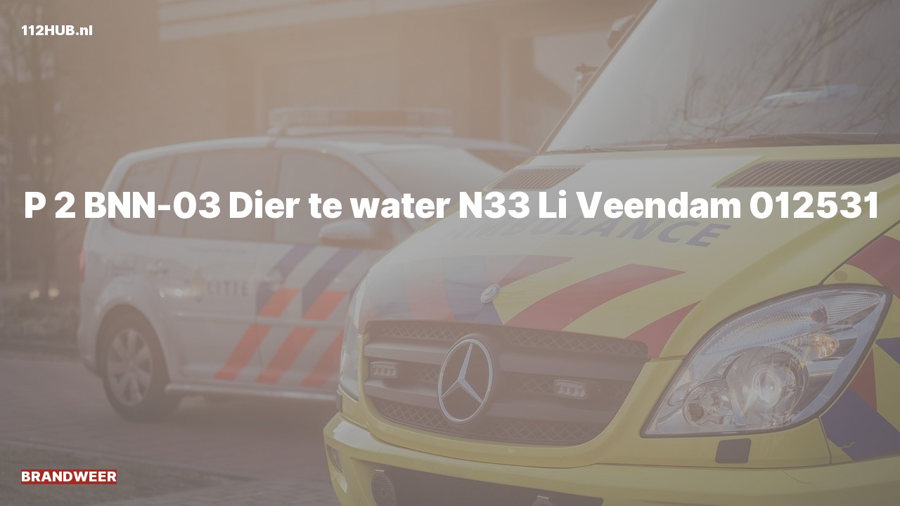 Deelafbeelding voor De brandweer is met gepaste spoed uitgerukt voor een persoon te water