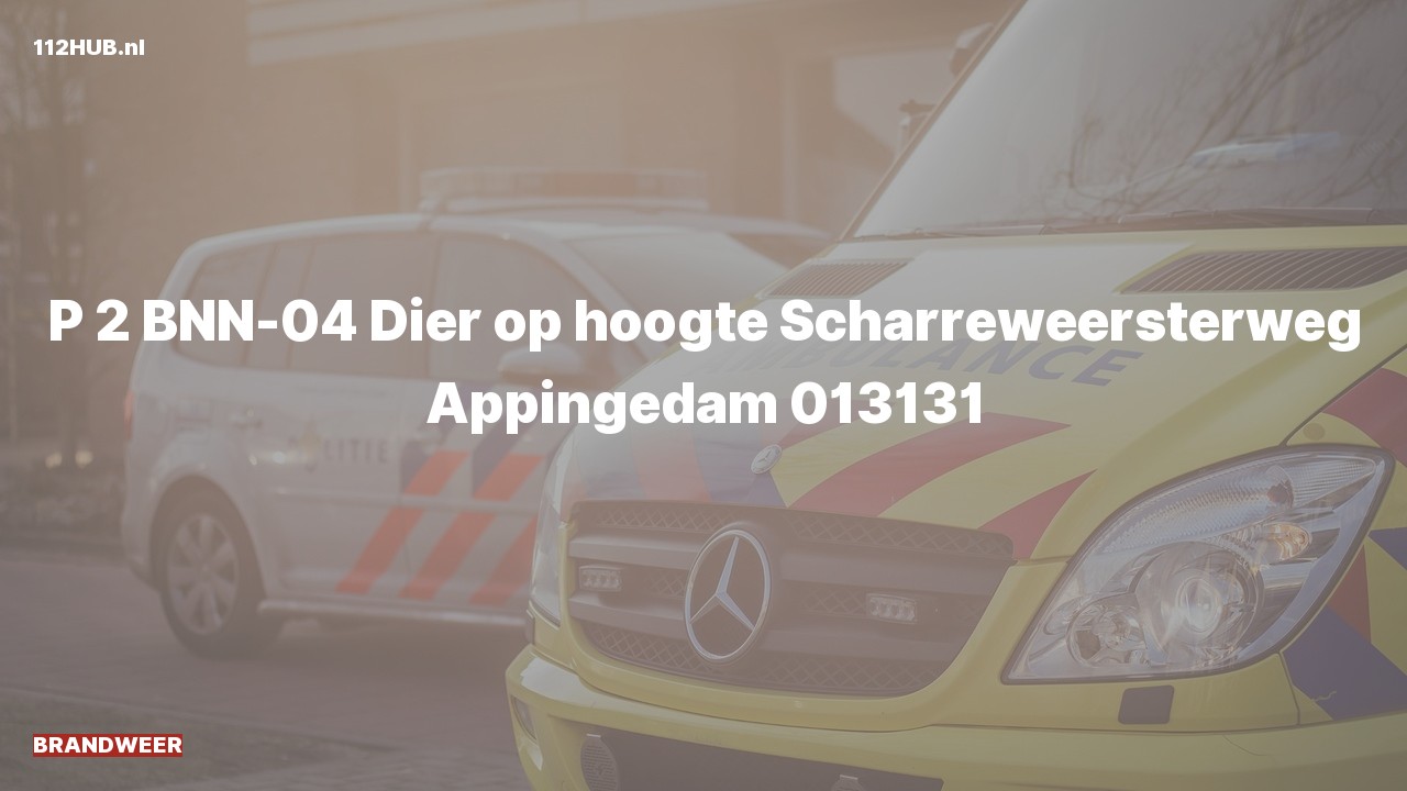 Deelafbeelding voor Brandweer met gepaste spoed naar de Scharreweersterweg in Appingedam.
