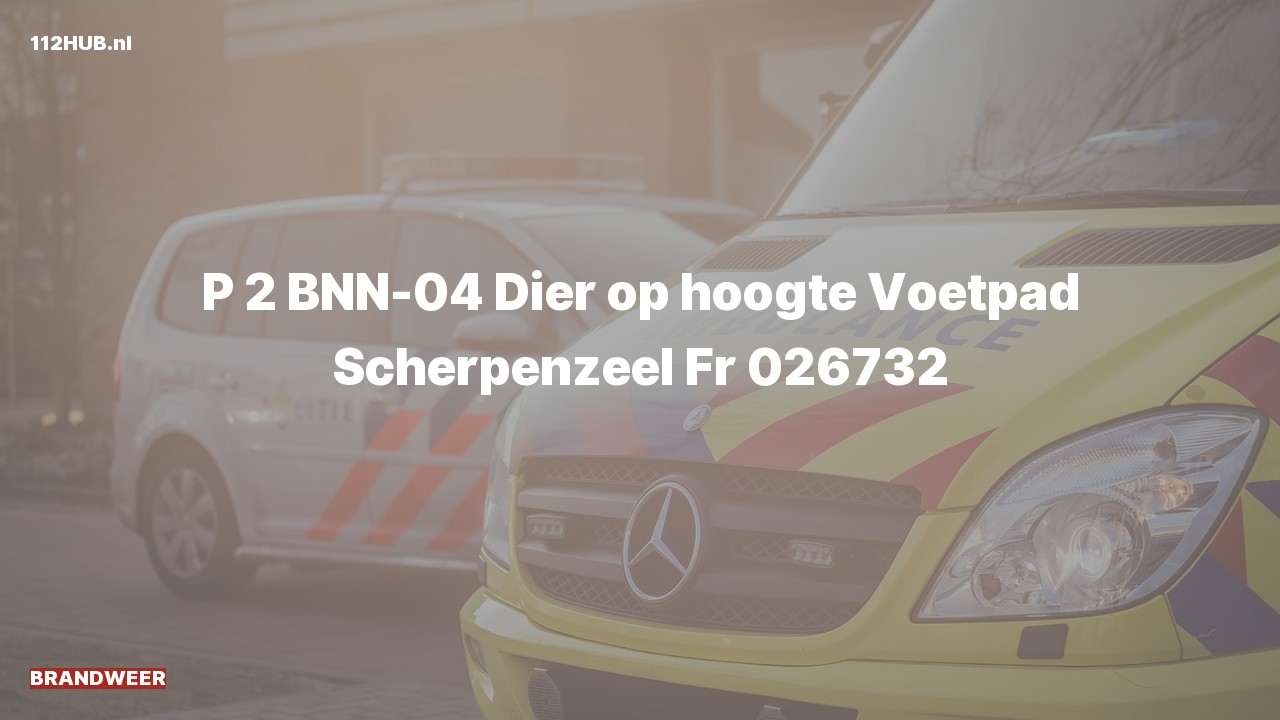 Deelafbeelding voor Brandweer met gepaste spoed naar de Voetpad in Scherpenzeel.