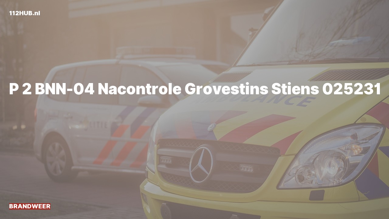 Deelafbeelding voor Brandweer met gepaste spoed naar de Grovestins in Stiens.