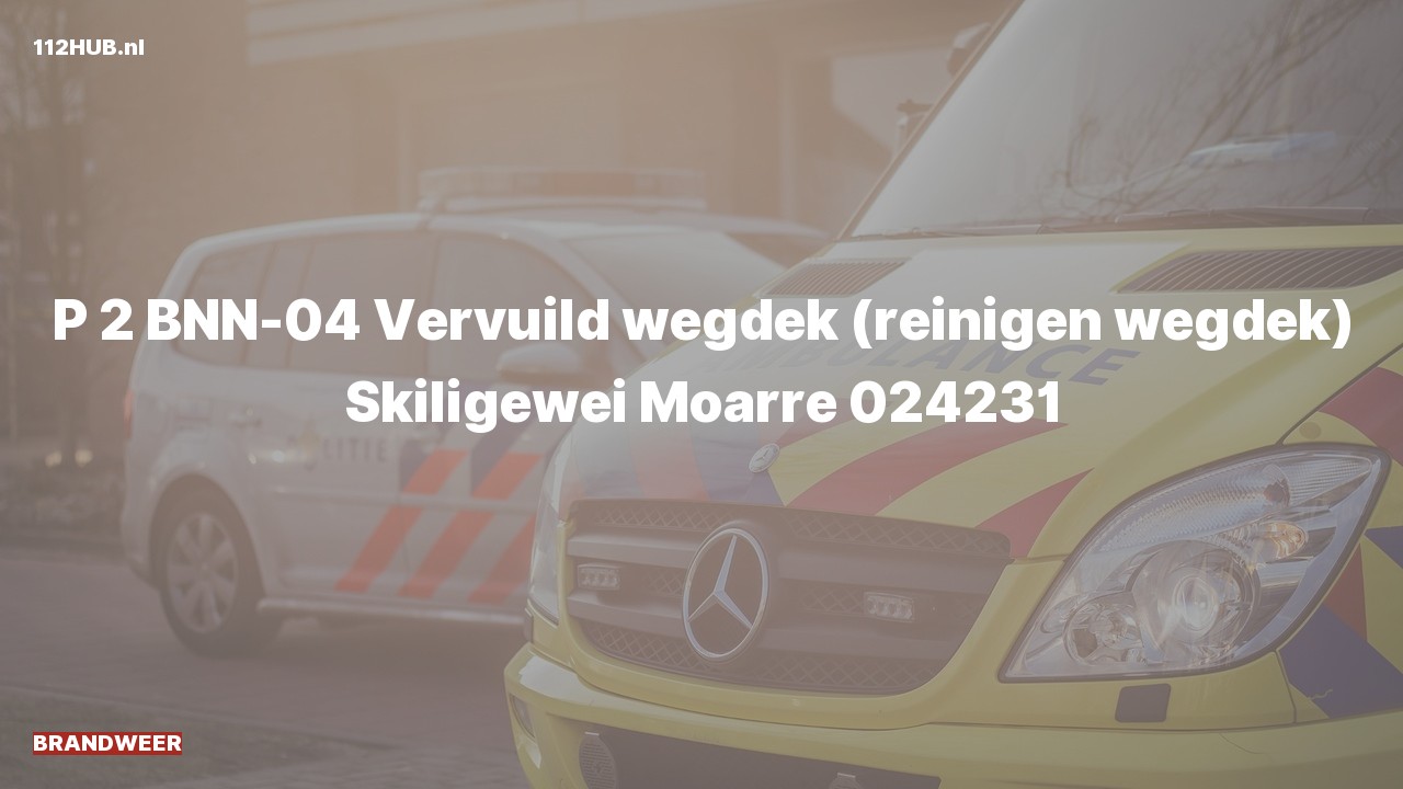 Deelafbeelding voor Brandweer met gepaste spoed naar de Skiligewei in Moarre.