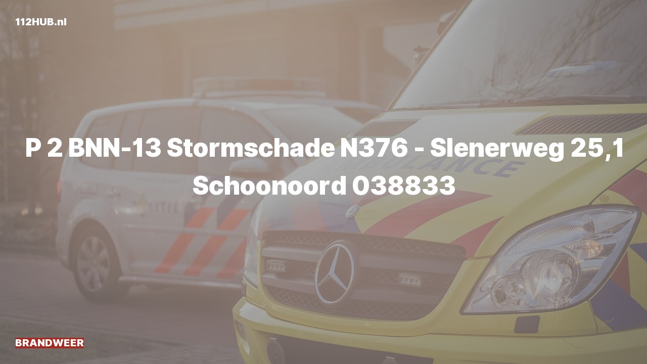 Deelafbeelding voor Brandweer met gepaste spoed op de N376 bij hectometerpaaltje 25.1.