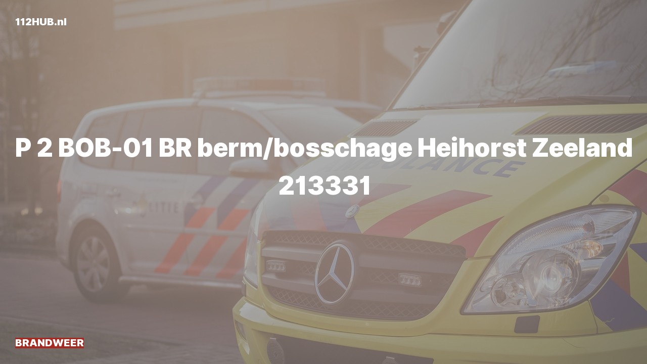 Deelafbeelding voor Brandweer met gepaste spoed naar de Heihorst in Zeeland.