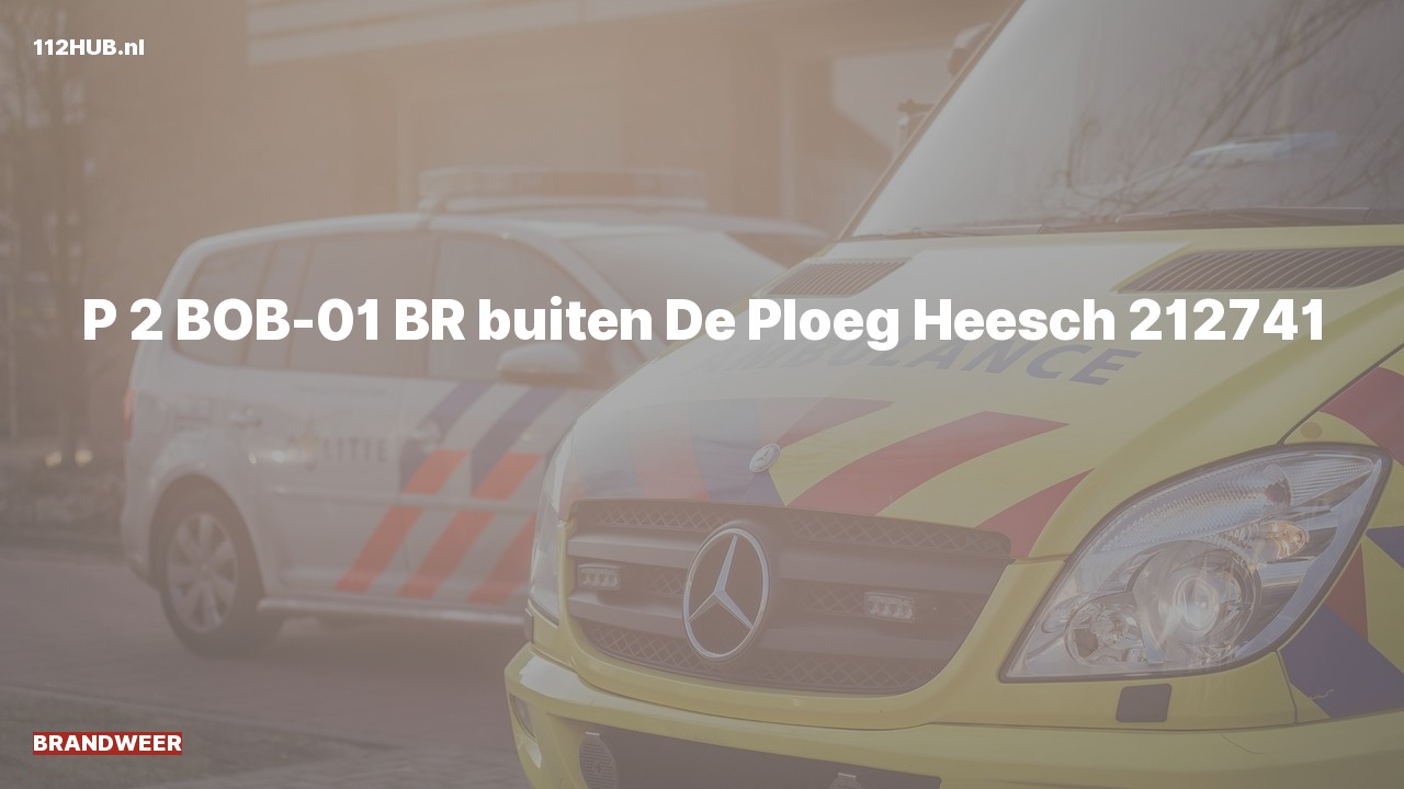 Deelafbeelding voor Brandweer met gepaste spoed naar de De Ploeg in Heesch.