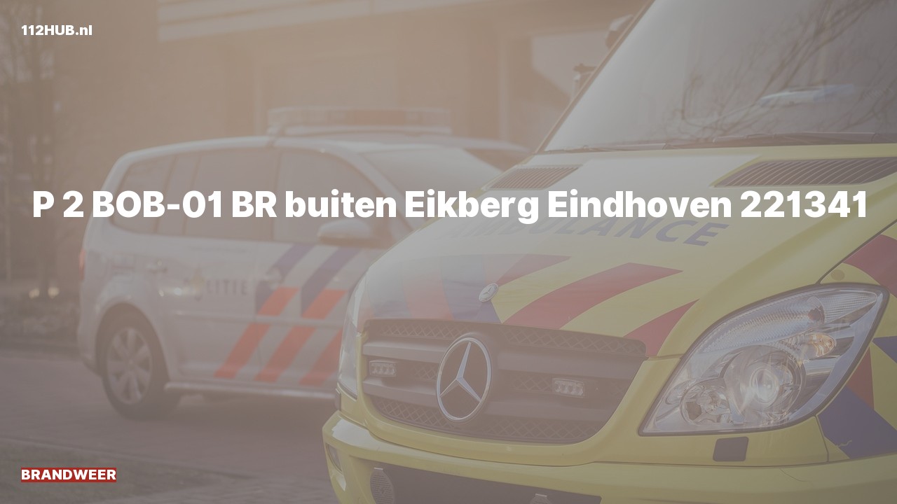 Deelafbeelding voor Brandweer met gepaste spoed naar de Eikberg in Eindhoven.