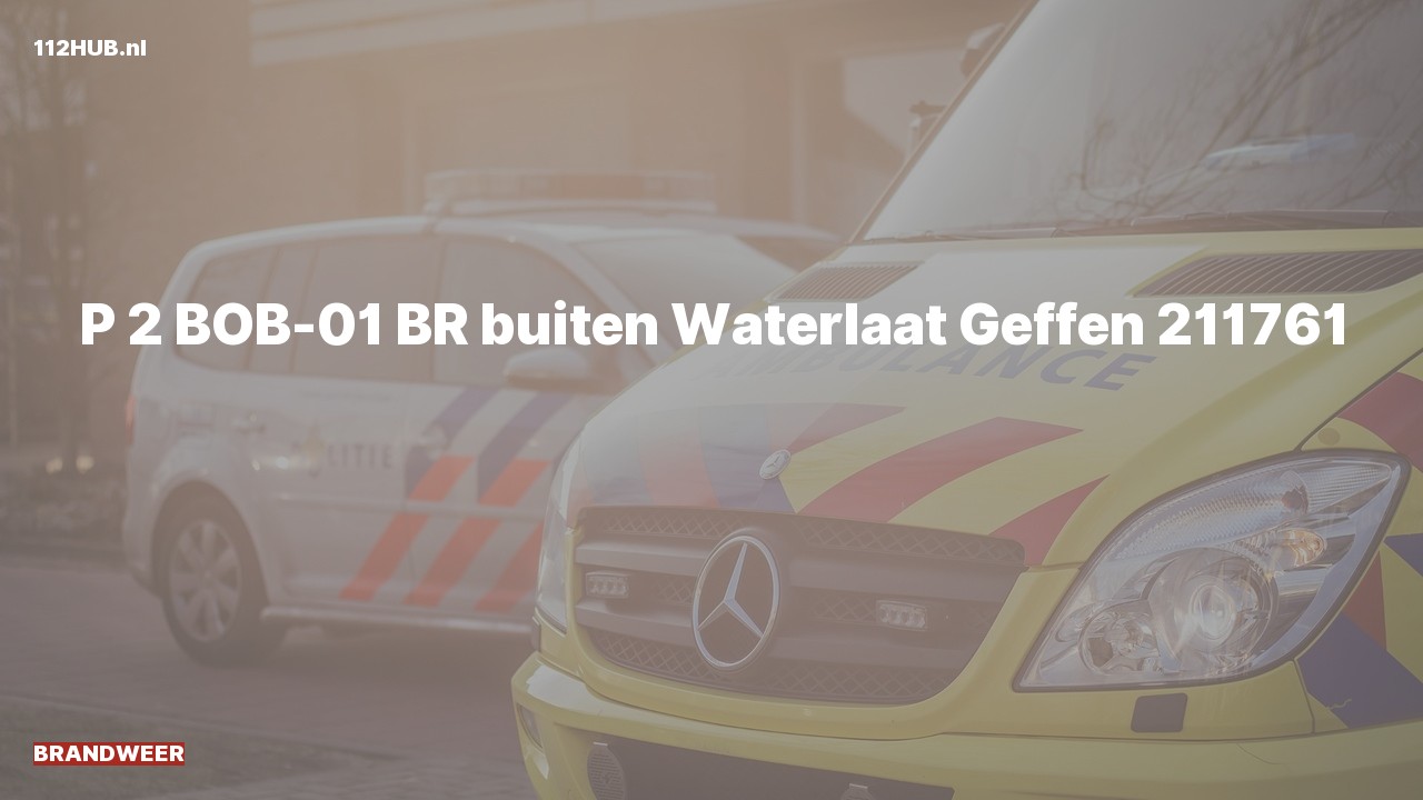 Deelafbeelding voor Brandweer met gepaste spoed naar de Waterlaat in Geffen.