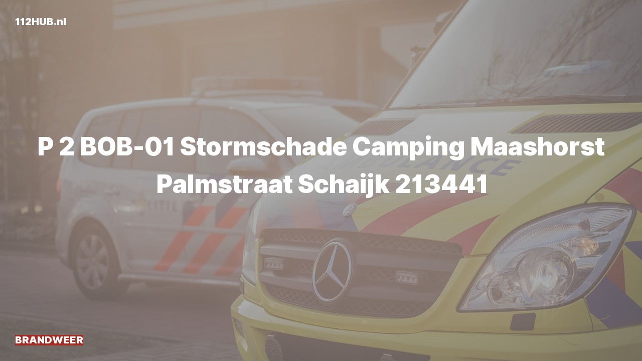 Deelafbeelding voor Brandweer met gepaste spoed naar de Palmstraat in Schaijk.