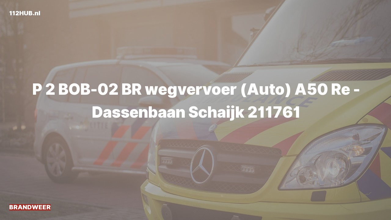 Deelafbeelding voor Brandweer met gepaste spoed naar de Dassenbaan in Schaijk.