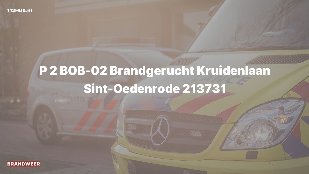Deelafbeelding voor Brandweer met gepaste spoed voor brandgerucht naar de Kruidenlaan in Sint-Oedenrode.