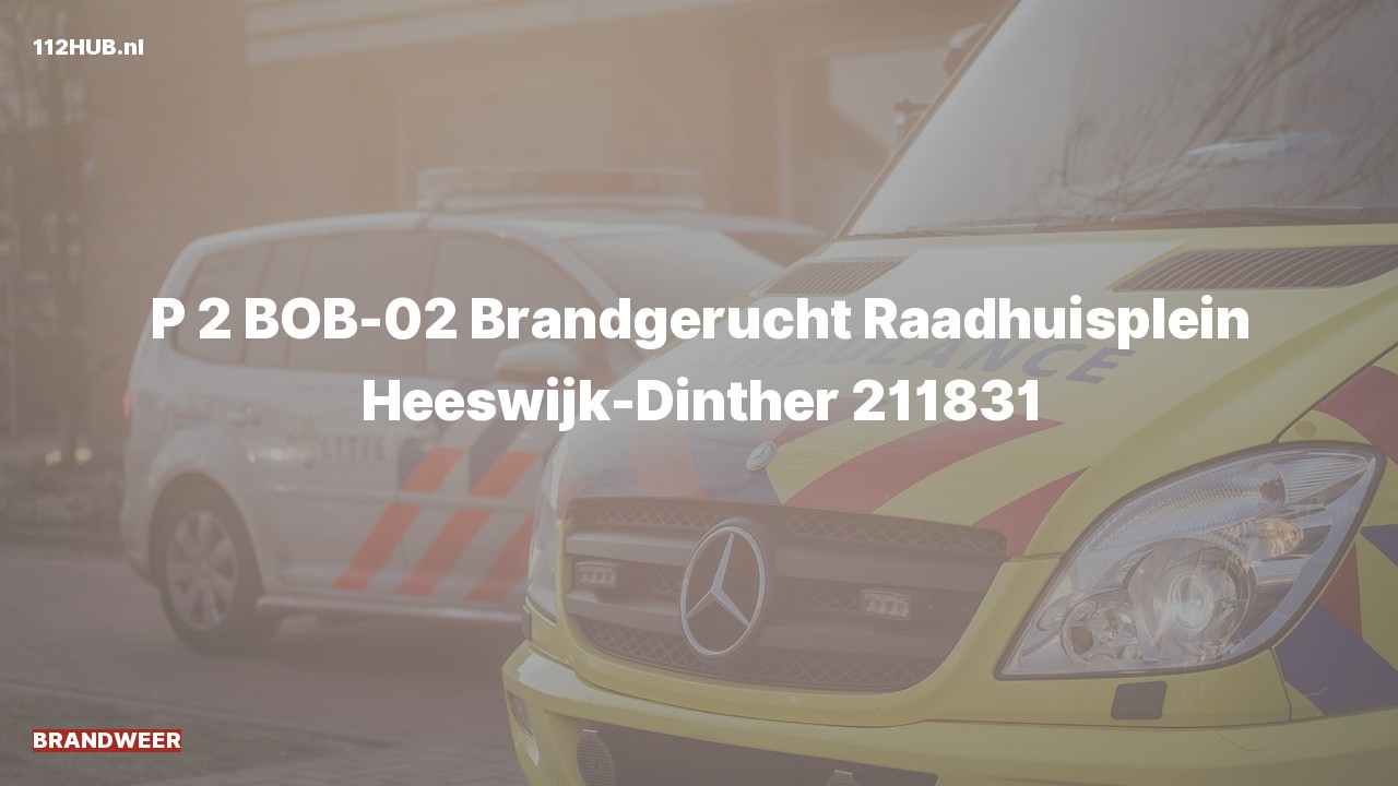 Deelafbeelding voor Brandweer met gepaste spoed voor brandgerucht naar de Raadhuisplein in Heeswijk-Dinther.