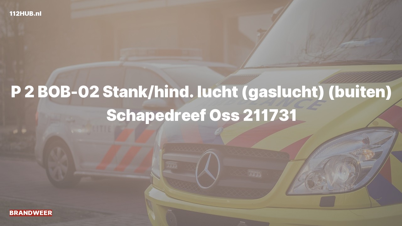 Deelafbeelding voor Brandweer met gepaste spoed voor stank of gaslucht naar de Schapedreef in Oss.