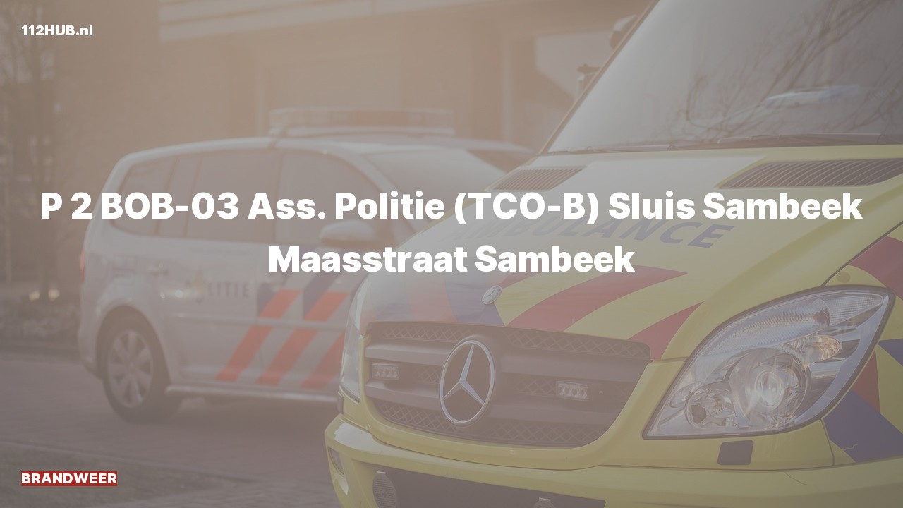 Deelafbeelding voor Brandweer met gepaste spoed naar de Maasstraat in Sambeek.