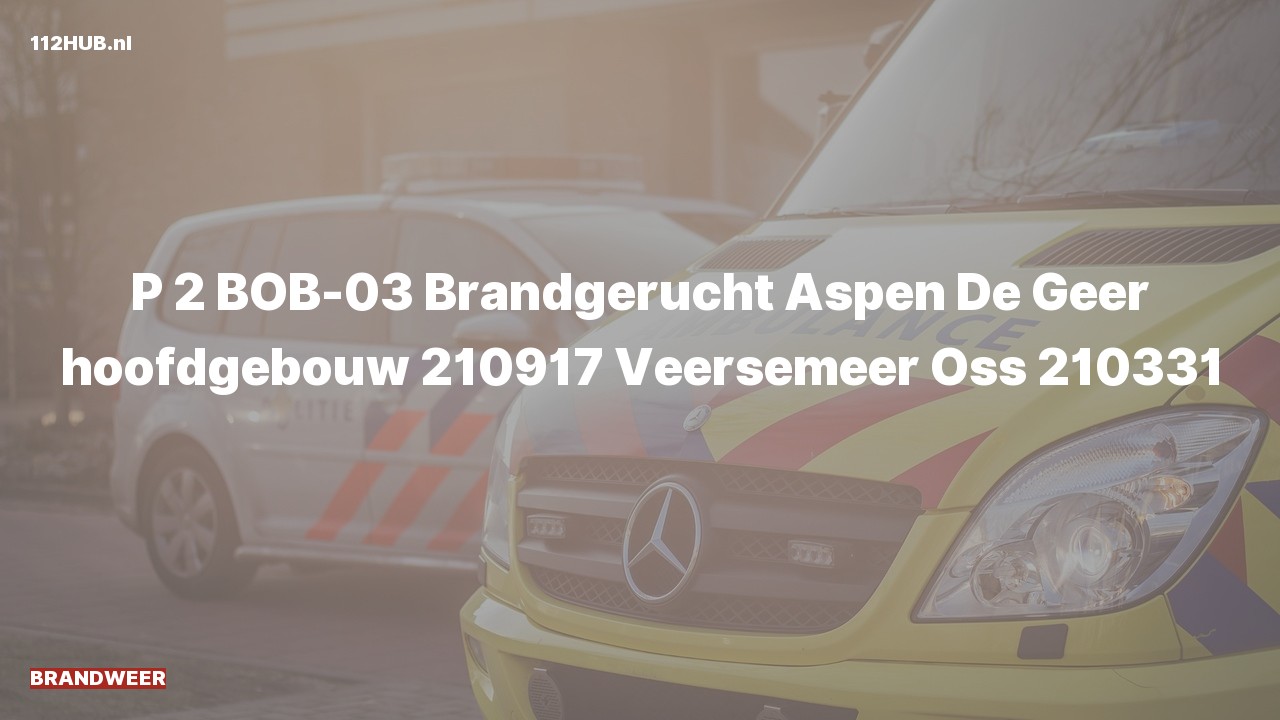 Deelafbeelding voor Brandweer met gepaste spoed voor brandgerucht naar de Veersemeer in Oss.