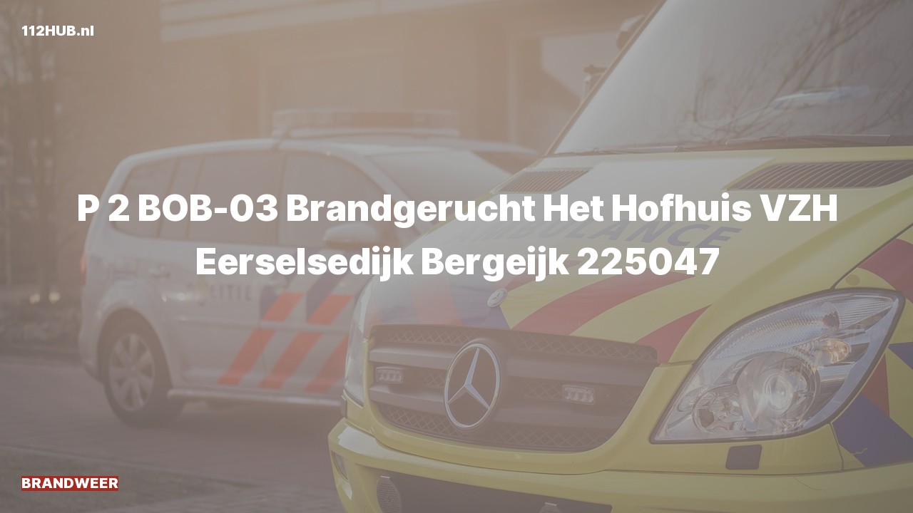 Deelafbeelding voor Brandweer met gepaste spoed voor brandgerucht naar de Eerselsedijk in Bergeijk.
