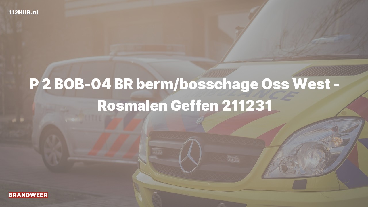 Deelafbeelding voor Brandweer met gepaste spoed.