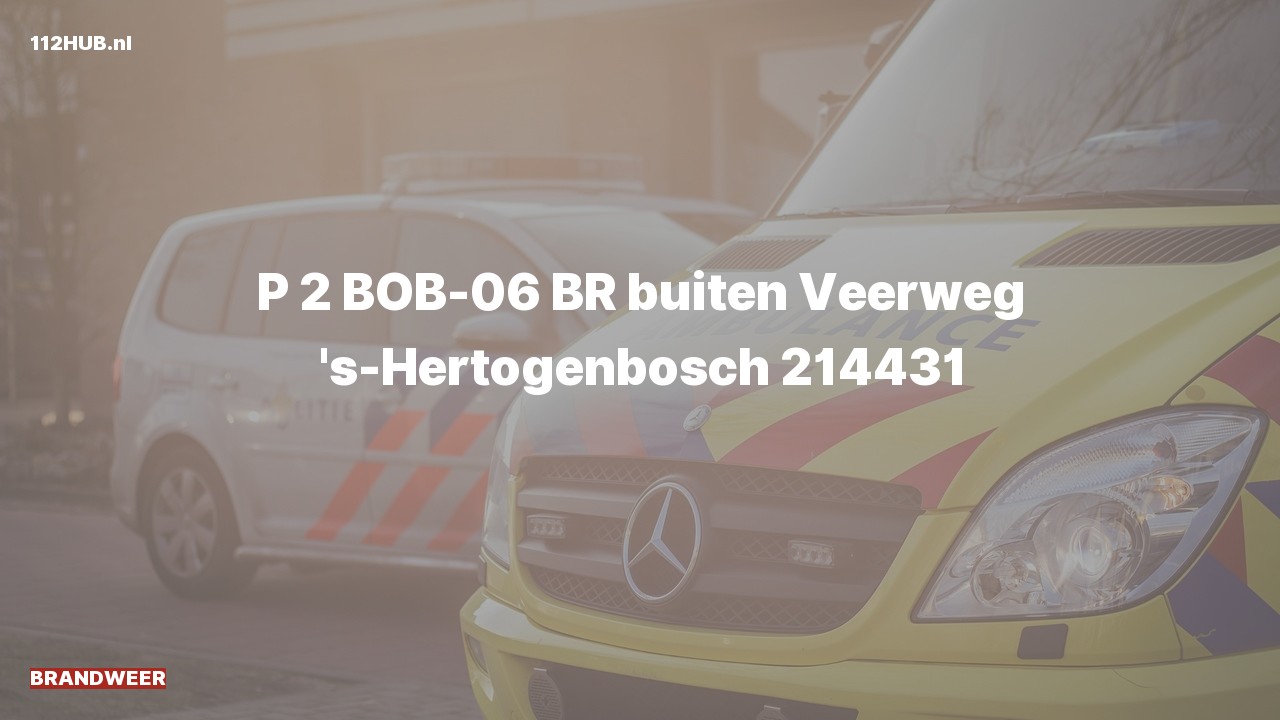 Deelafbeelding voor Brandweer met gepaste spoed.