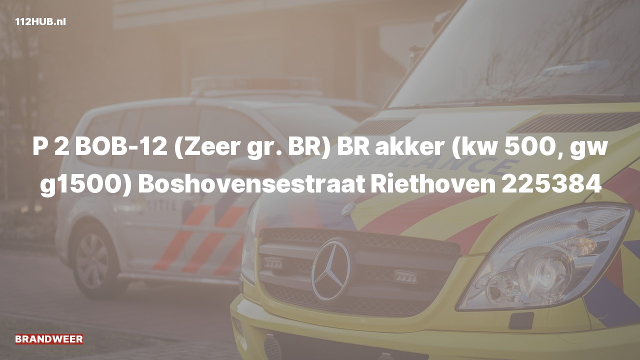 Deelafbeelding voor Brandweer met gepaste spoed naar de Boshovensestraat in Riethoven.