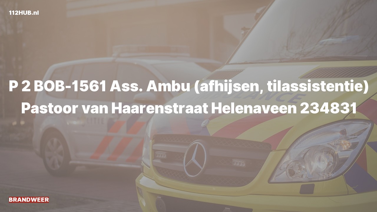 Deelafbeelding voor De brandweer is met gepaste spoed uitgerukt voor afhijsen naar de Pastoor van Haarenstraat in Helenaveen
