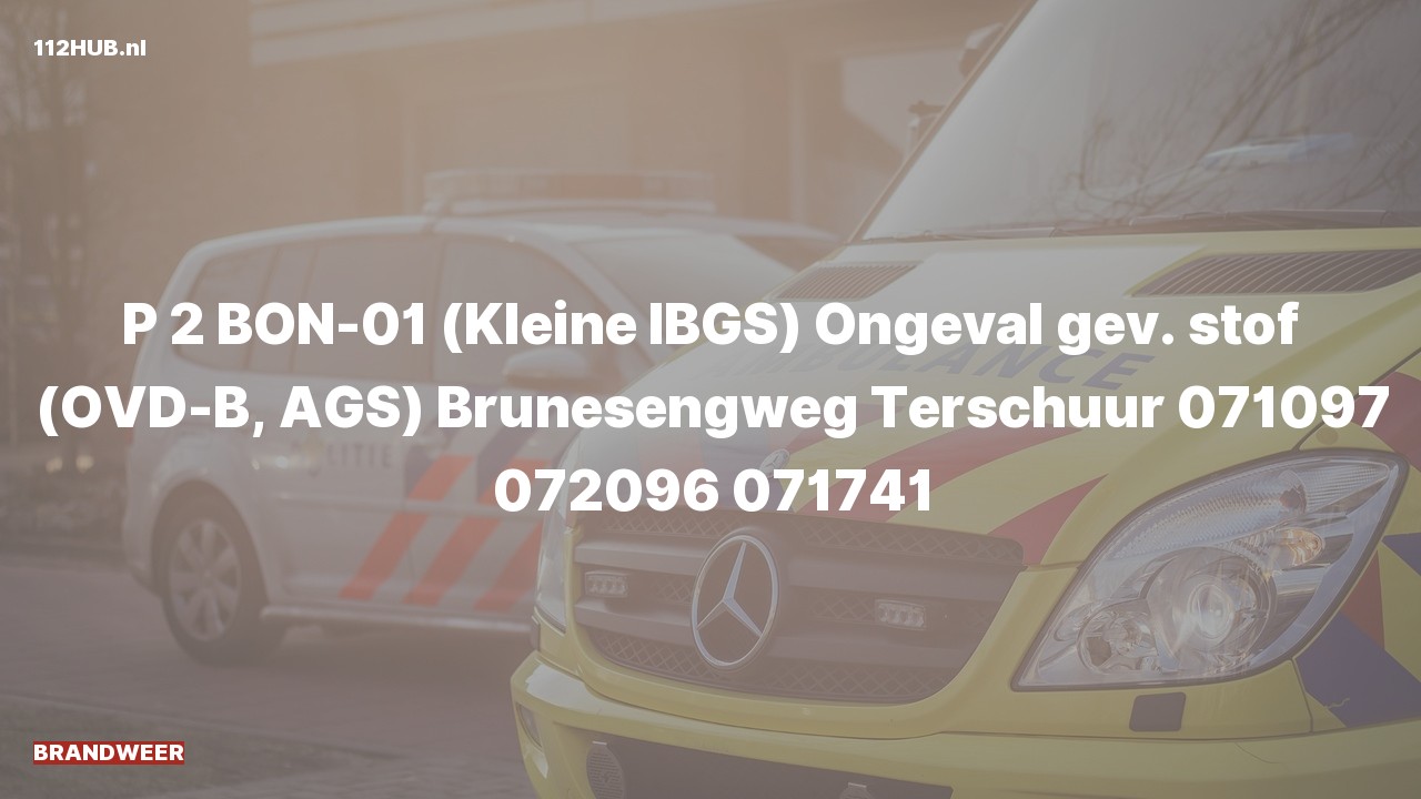 Deelafbeelding voor De brandweer is met gepaste spoed uitgerukt voor een ongeval naar de Brunesengweg in Terschuur