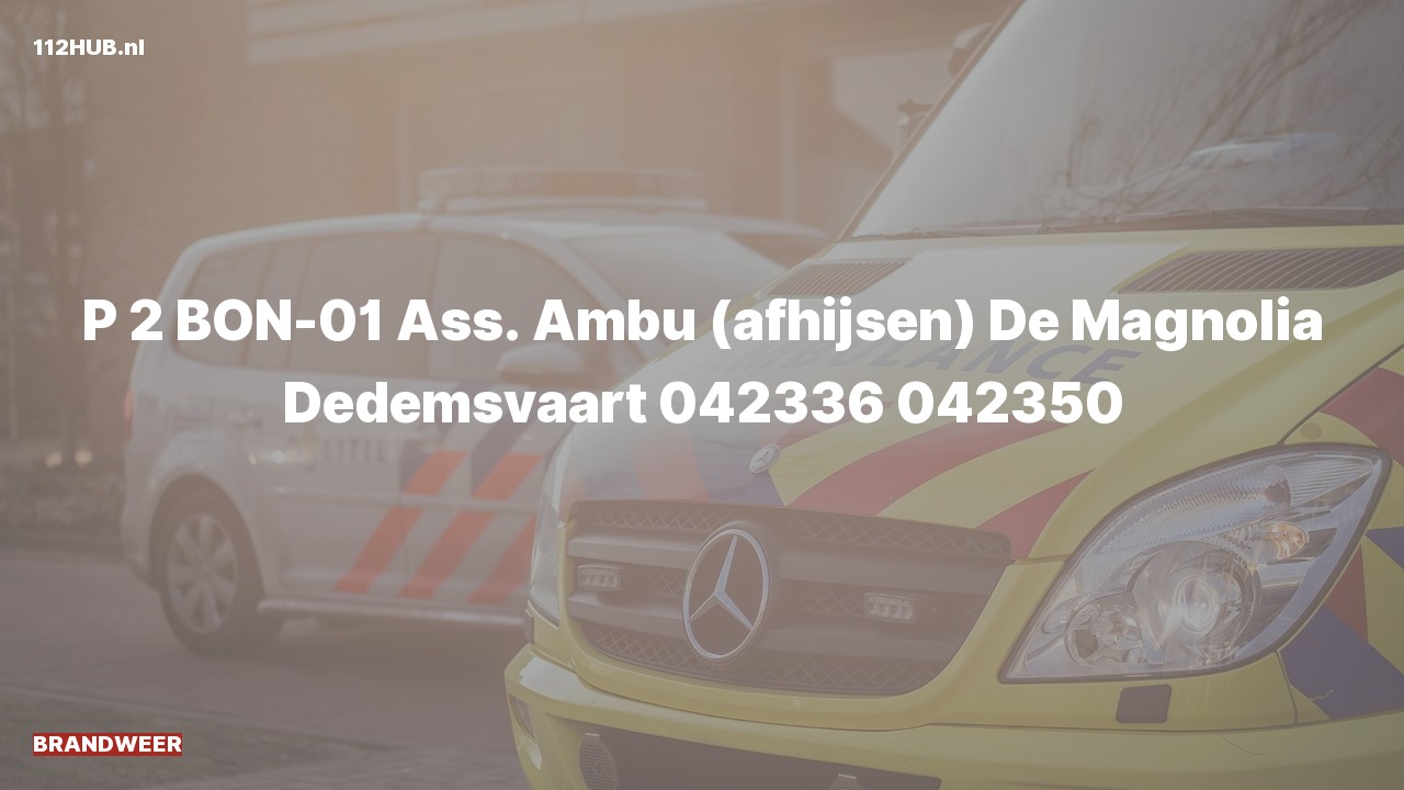 Deelafbeelding voor Brandweer met gepaste spoed voor afhijsen naar de De Magnolia in Dedemsvaart.