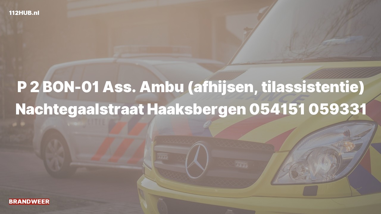 Deelafbeelding voor De brandweer is met gepaste spoed uitgerukt voor afhijsen naar de Nachtegaalstraat in Haaksbergen
