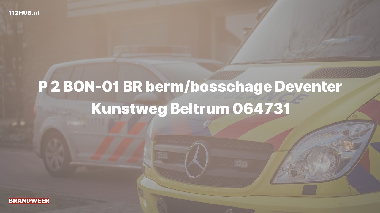 Deelafbeelding voor Brandweer met gepaste spoed naar de Deventer Kunstweg in Beltrum.