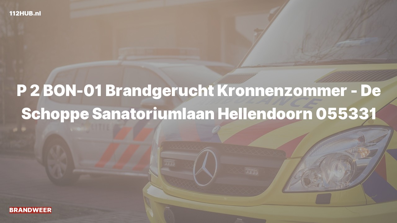 Deelafbeelding voor Brandweer met gepaste spoed voor brandgerucht naar de Sanatoriumlaan in Hellendoorn.