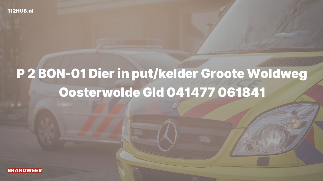 Deelafbeelding voor De brandweer is met gepaste spoed uitgerukt naar de Groote Woldweg in Oosterwolde Gld
