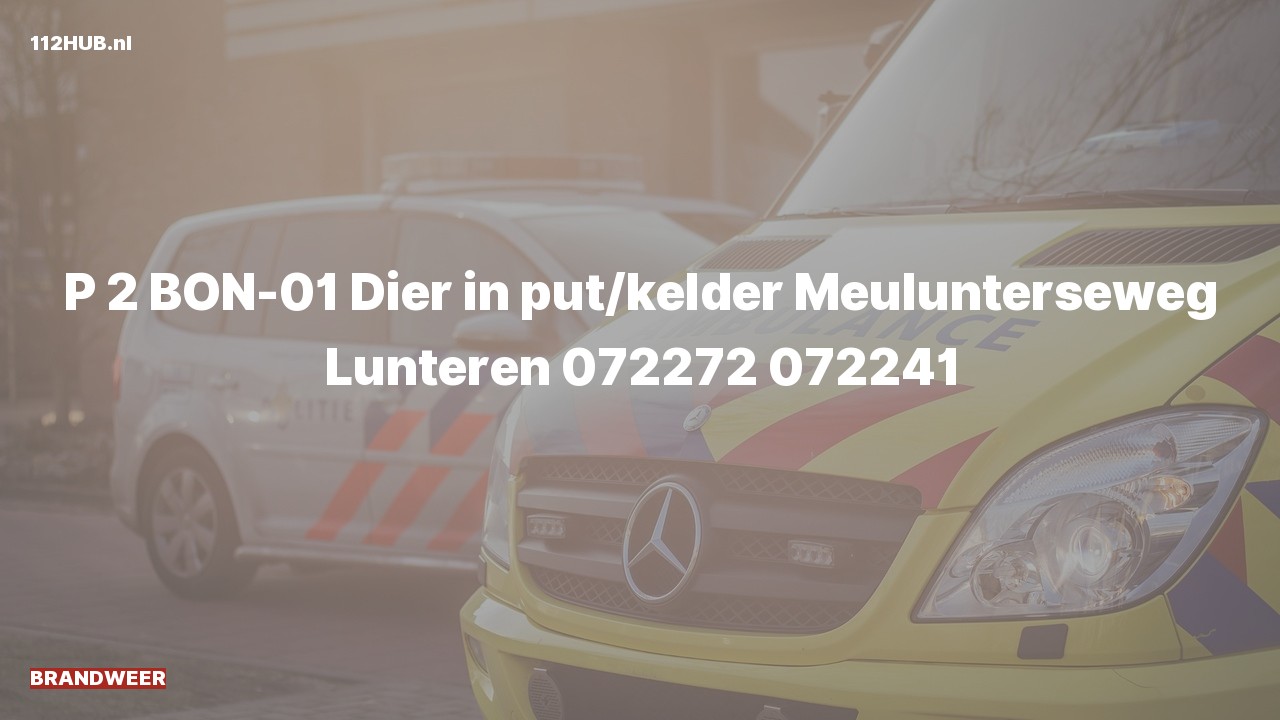 Deelafbeelding voor Brandweer met gepaste spoed naar de Meulunterseweg in Lunteren.
