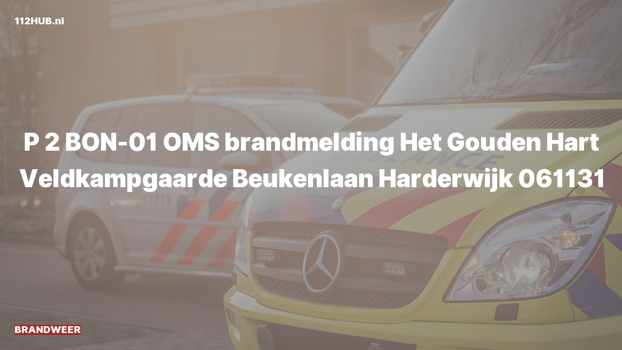 Deelafbeelding voor Brandweer met gepaste spoed voor automatische brandmelding naar de Beukenlaan in Harderwijk.