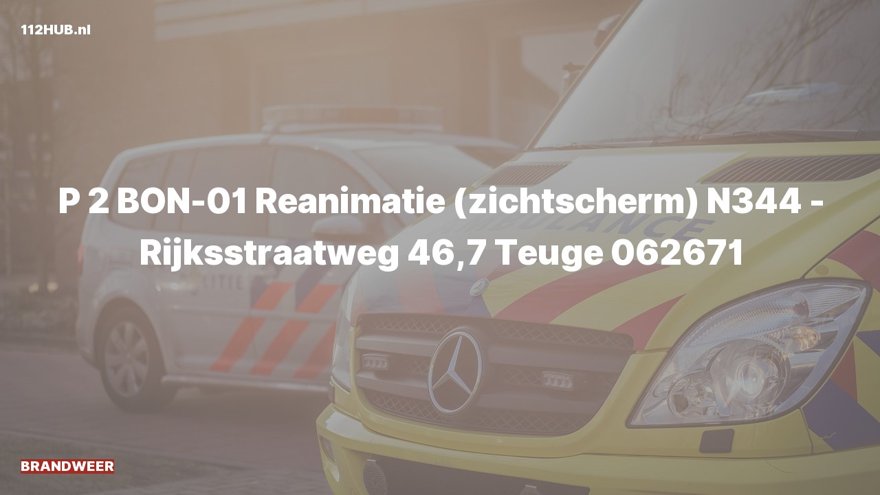 Deelafbeelding voor Brandweer met gepaste spoed op de N344 bij hectometerpaaltje 46.7.