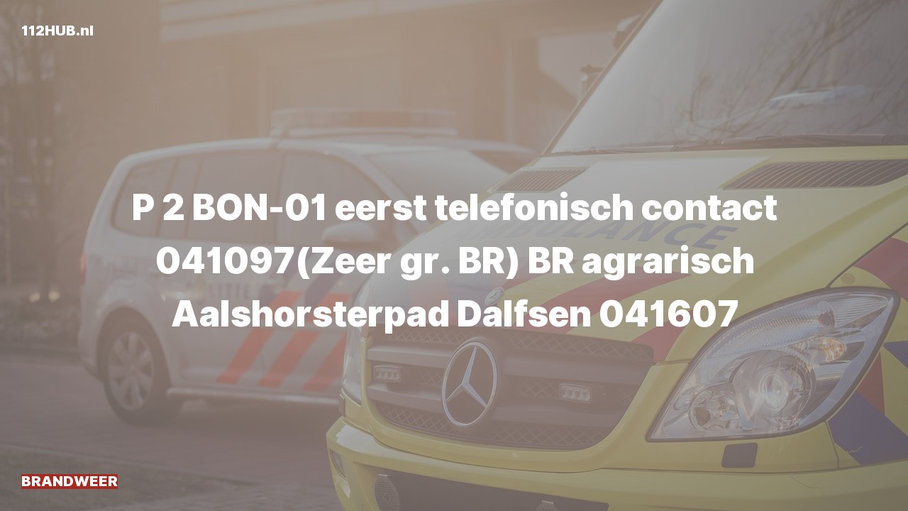 Deelafbeelding voor De brandweer is met gepaste spoed uitgerukt voor een brand naar de Aalshorsterpad in Dalfsen