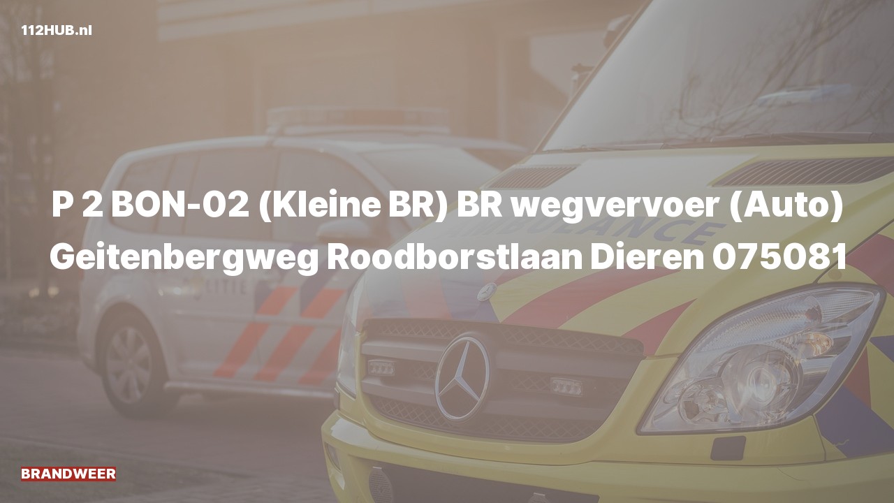 Deelafbeelding voor P2000-melding.