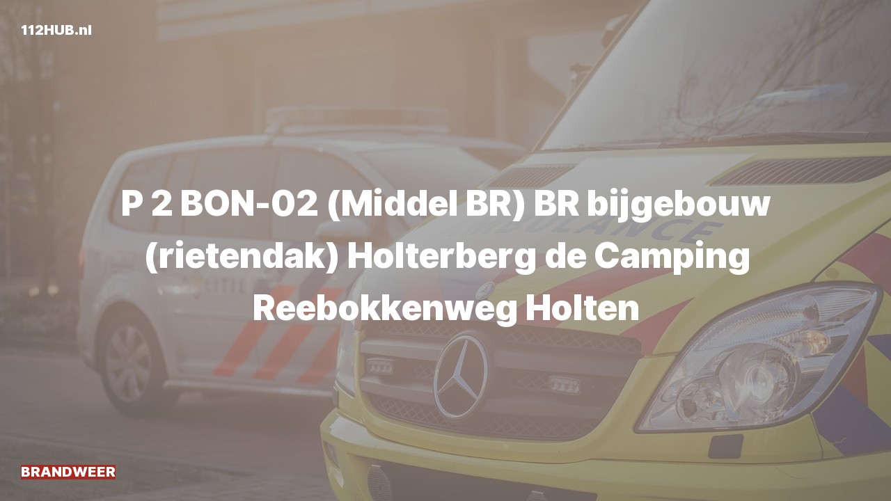 Deelafbeelding voor De brandweer is met gepaste spoed uitgerukt voor een brand naar de Reebokkenweg in Holten