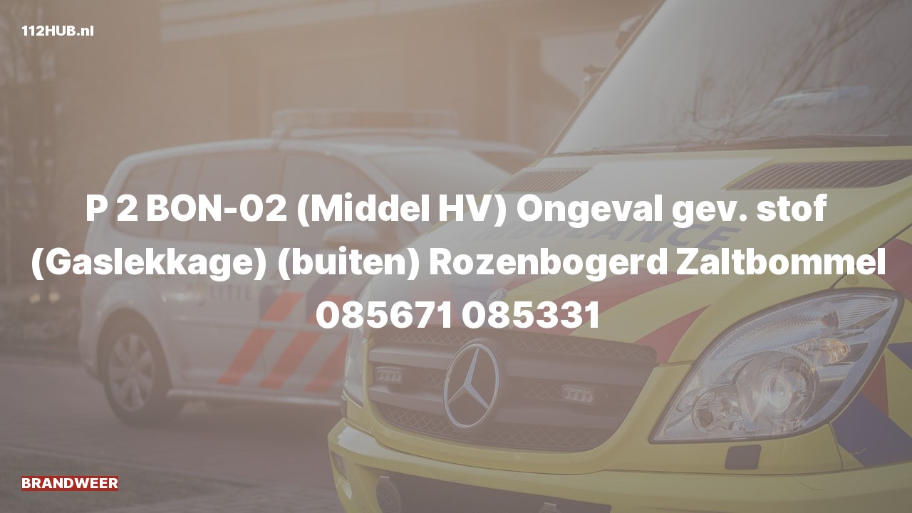 Deelafbeelding voor Brandweer met gepaste spoed naar de Rozenbogerd in Zaltbommel.