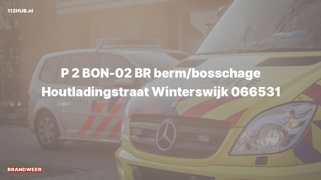 Deelafbeelding voor Brandweer met gepaste spoed naar de Houtladingstraat in Winterswijk.