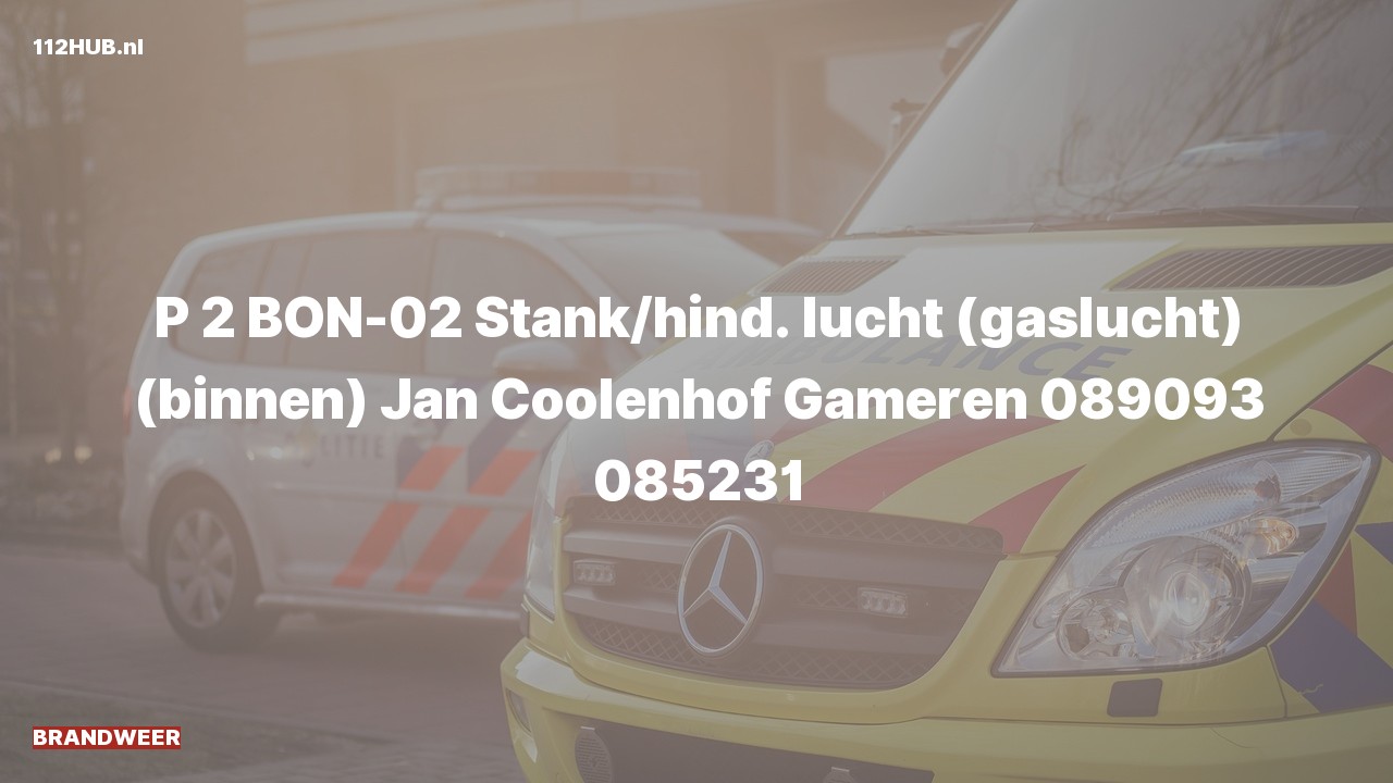 Deelafbeelding voor Brandweer met gepaste spoed voor gaslucht binnen naar de Jan Coolenhof in Gameren.