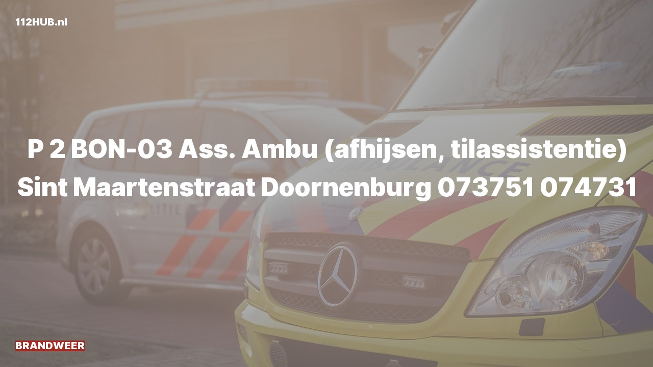 Deelafbeelding voor Brandweer met gepaste spoed voor afhijsen naar de Sint Maartenstraat in Doornenburg.