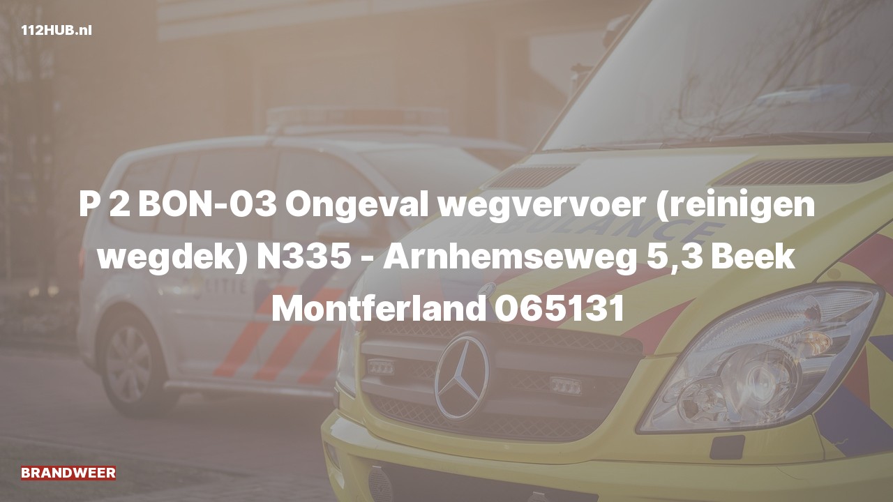 Deelafbeelding voor Brandweer met gepaste spoed voor verkeersongeval.