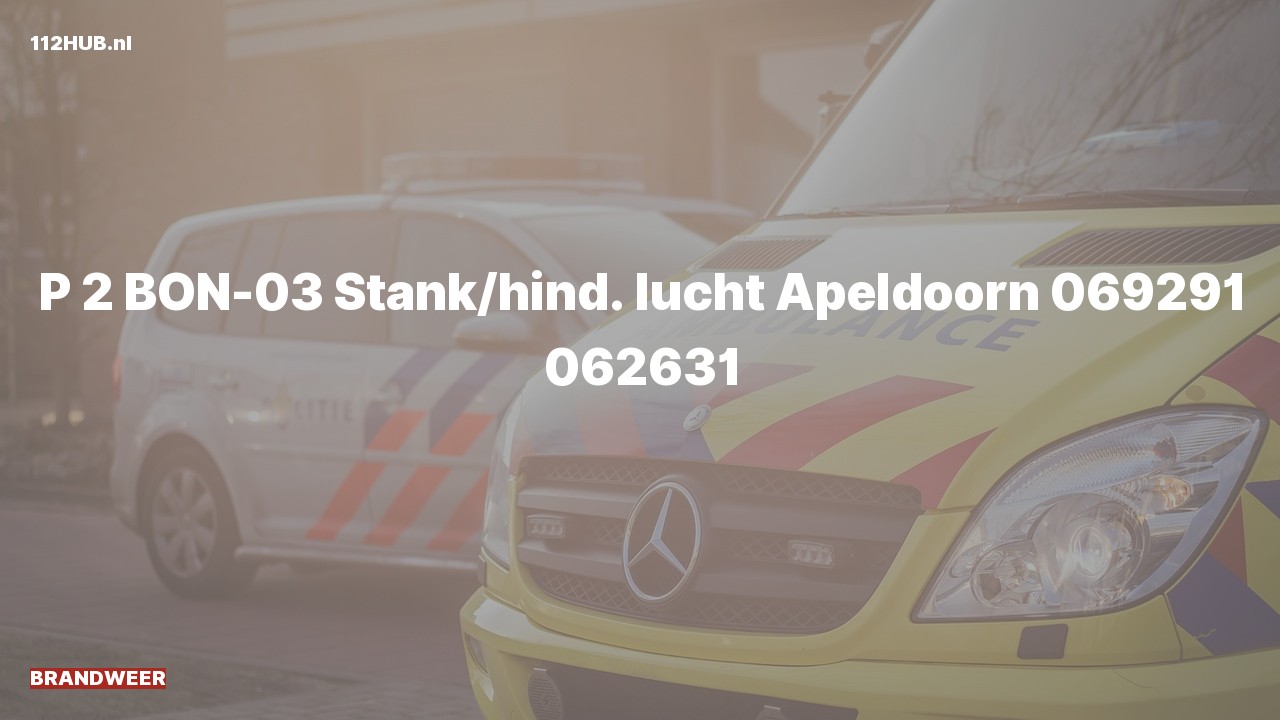Deelafbeelding voor Brandweer met gepaste spoed voor stank of gaslucht.